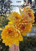 Hollyhill Honeygold